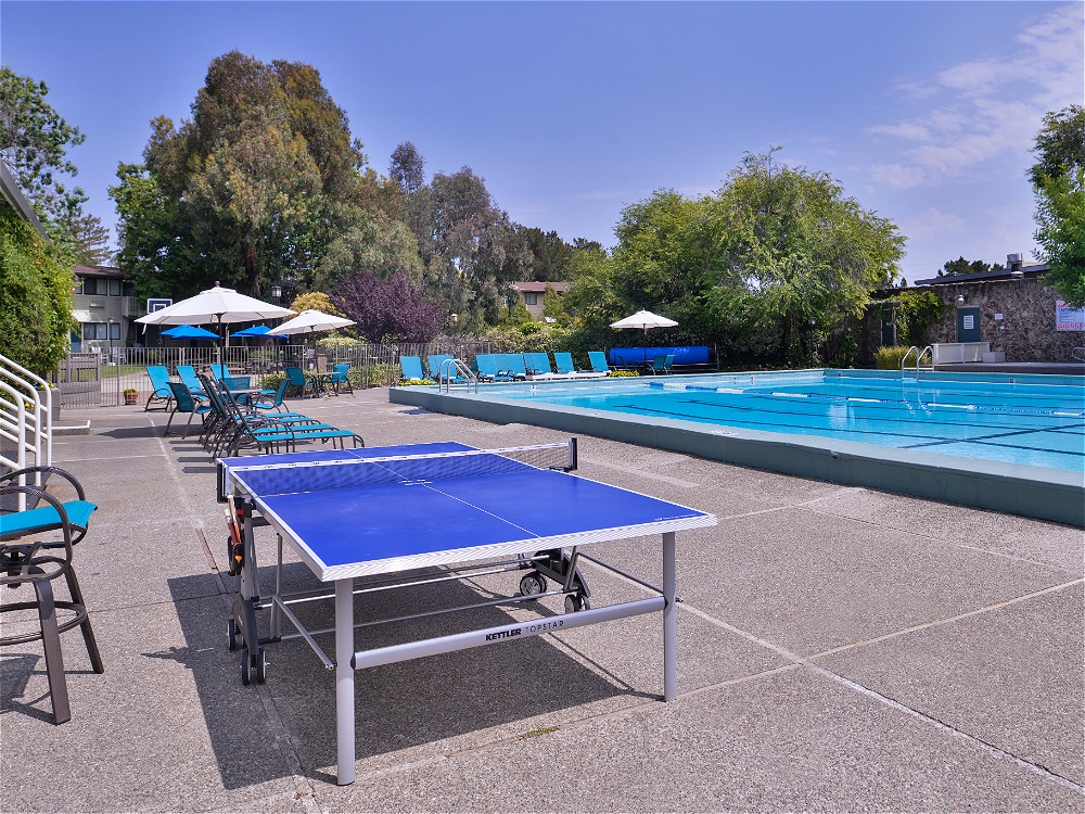 Table tennis near pool